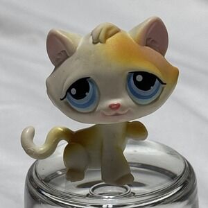 KITTEN CAT #52 - Authentic Littlest Pet Shop - Hasbro LPS